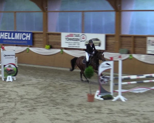 Reitturnier Xanten - Reitanlage Miss 2023