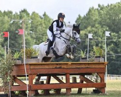 Springpferd Marlon 192 (Deutsches Reitpony, 2009, von Merlin)