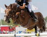 jumper Voici Derlenn Tilia (French Pony, 2009, from Linaro)