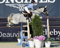 jumper Kepi Vert du Buisson Z (Belgian Warmblood, 2011, from Karandasj)