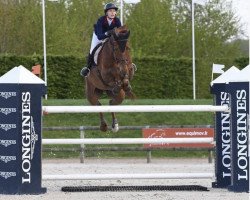 Springpferd Jackson (Belgisches Warmblut, 2009, von Epleaser van het Heike)