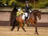 dressage horse Flóki Vilgerdarson (Hanoverian, 2017, from Floris Prince)