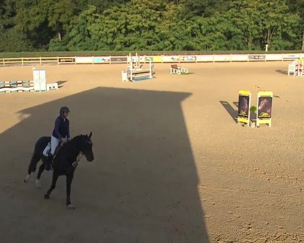 Reitturnier Tiefenhof/Opf. 2023