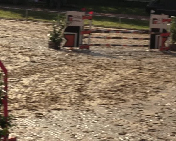 Reitturnier Heiligenwald 2023