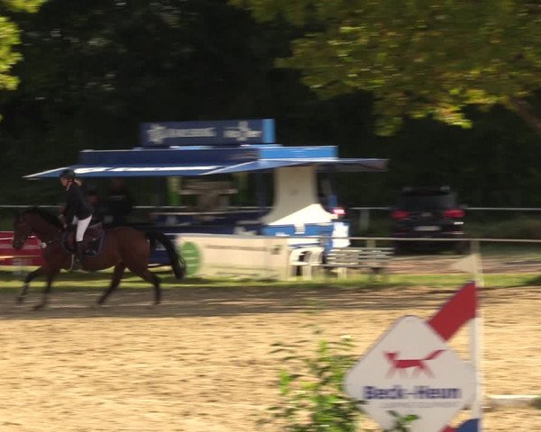 Reitturnier Heiligenwald 2023
