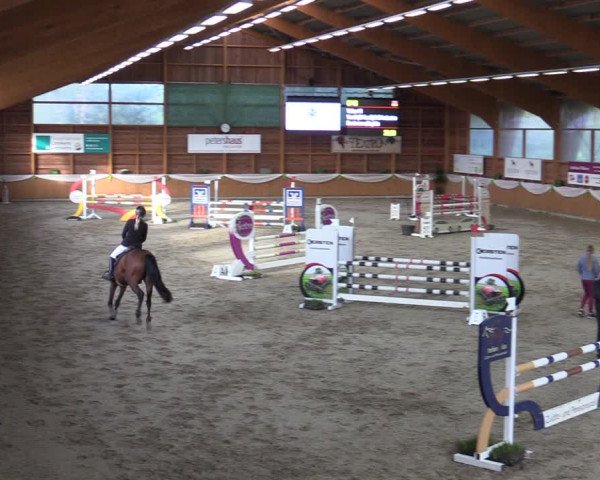 Reitturnier Xanten - Reitanlage Miss 2023