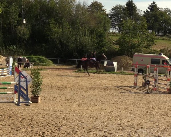 Reitturnier Heiligenwald 2023