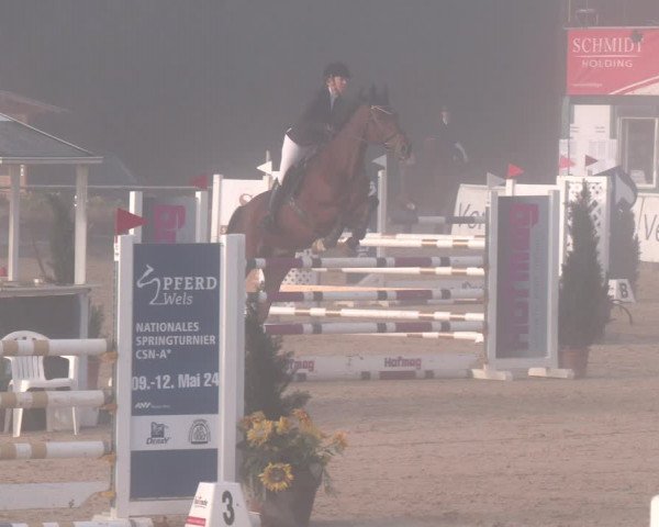 Reitturnier Ranshofen - Braunau am Inn 2023
