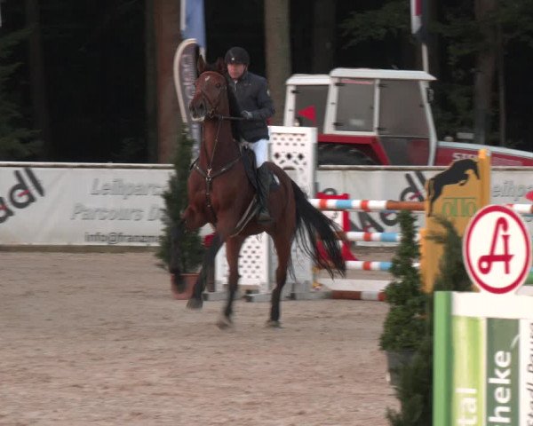 Reitturnier Ranshofen - Braunau am Inn 2023