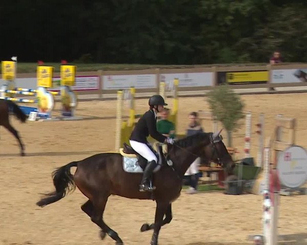 Reitturnier Tiefenhof/Opf. 2023