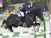 jumper Coolys Avm Cosmo (Irish Sport Horse, 2015, from Vancouver)