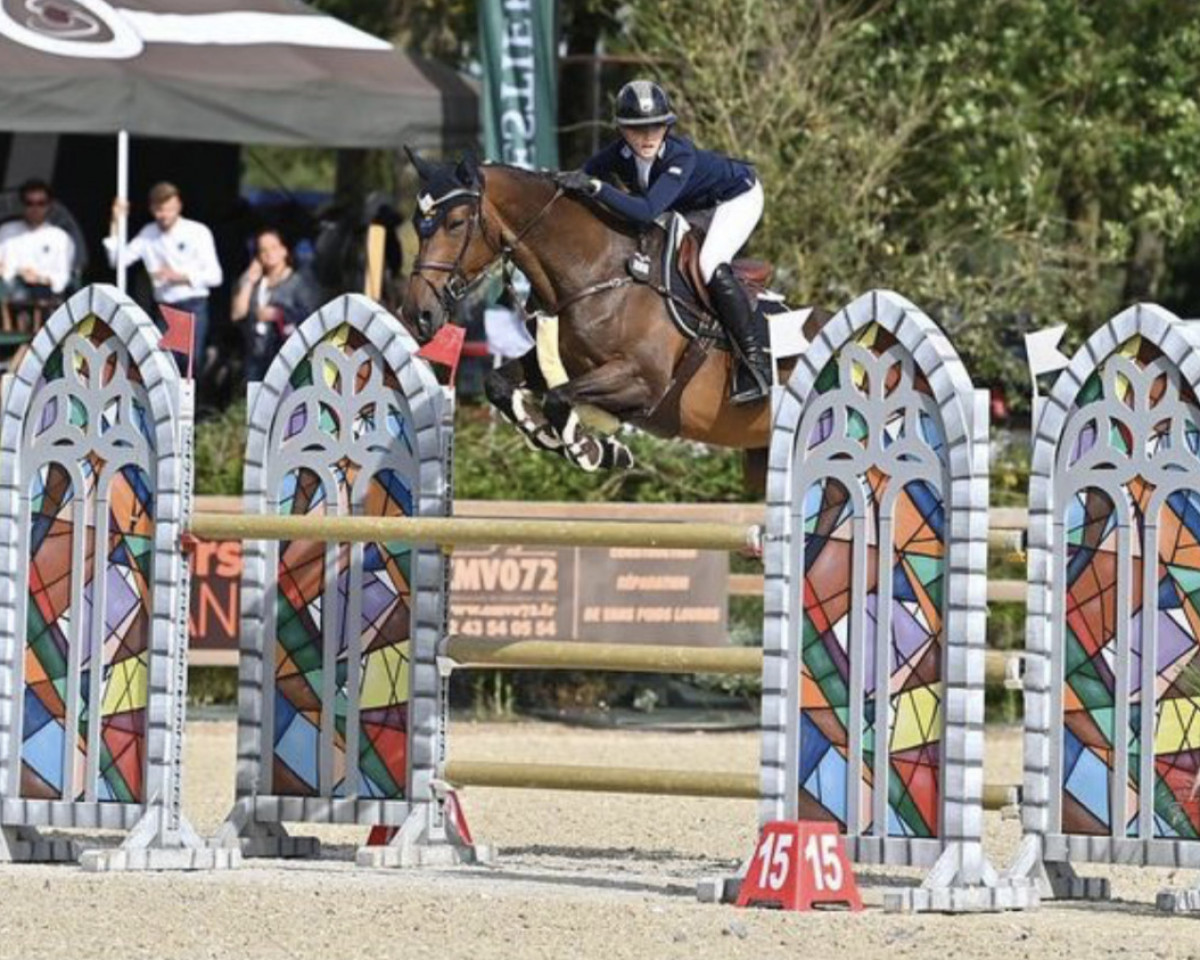 broodmare Helga Th.o. (KWPN (Royal Dutch Sporthorse), 2012, from Breitling LS)
