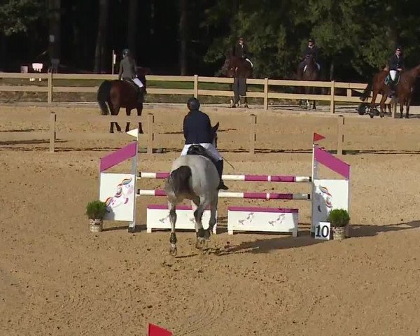 Reitturnier Tiefenhof/Opf. 2023