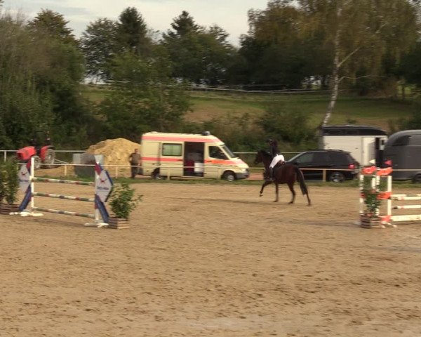 Reitturnier Heiligenwald 2023