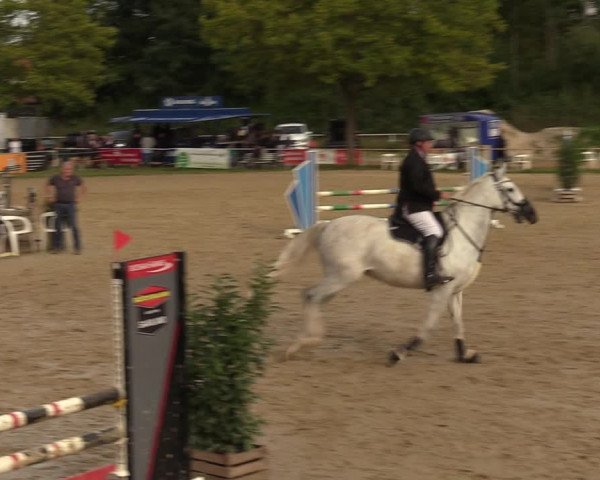 Reitturnier Heiligenwald 2023