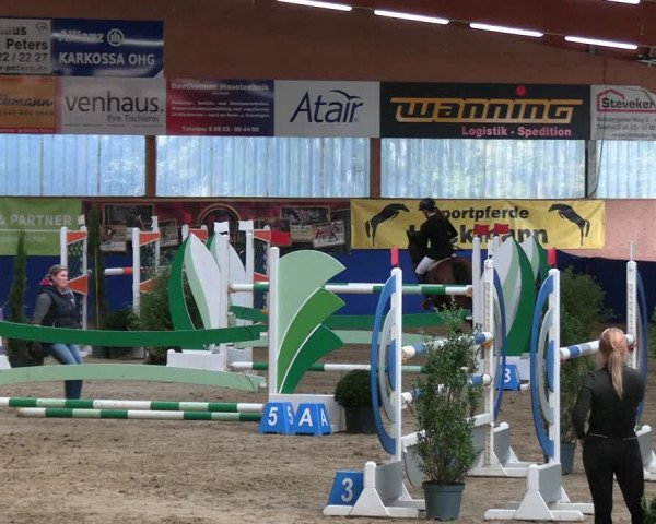 Reitturnier Isterberg 2023