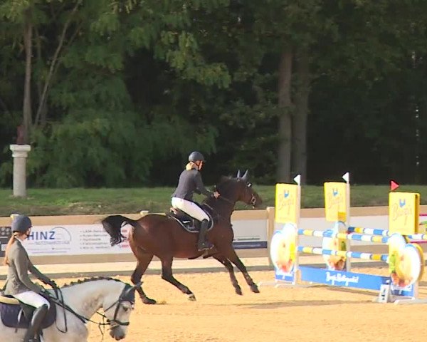 Reitturnier Tiefenhof/Opf. 2023