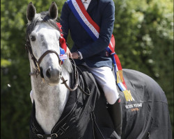 jumper Gian Carlo (Hanoverian, 2016, from Grey Top)