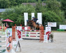 jumper Chocolat 33 (Oldenburg show jumper, 2007, from Chalan)