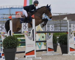 Springpferd Corbeagh Legend (Irish Sport Horse, 2013, von Moores Clover)