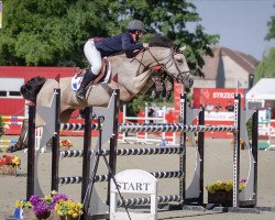 jumper All Best du Rond Pre (French Pony, 2010, from Linaro)