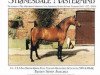 stallion Strinesdale Mastermind (British Riding Pony, 1991, from Twylands Troubadour)