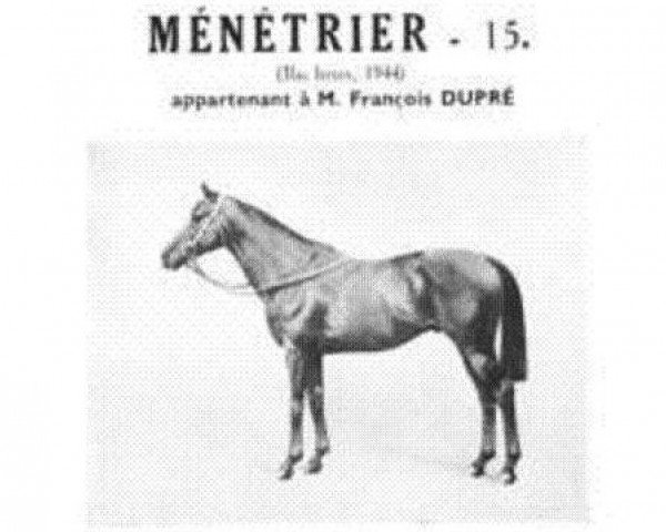 Deckhengst Ménètrier xx (Englisches Vollblut, 1944, von Fair Copy xx)