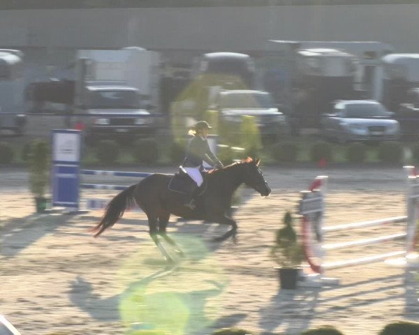 Reitturnier Basel 2023
