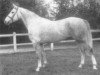 stallion Direct Rule xx (Thoroughbred, 1970, from Ballymoss xx)