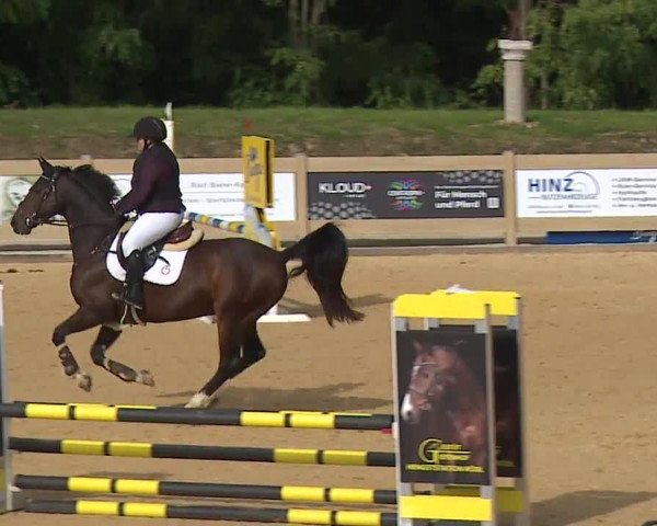 Reitturnier Tiefenhof/Opf. 2023