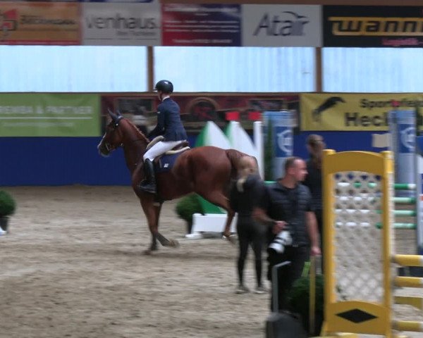 Reitturnier Isterberg 2023