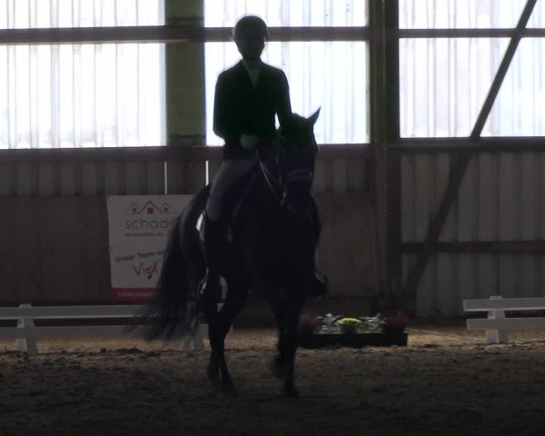 Reitturnier Werdohl-Rentrop 2023