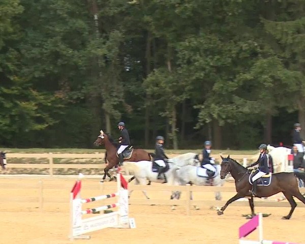 Reitturnier Tiefenhof/Opf. 2023