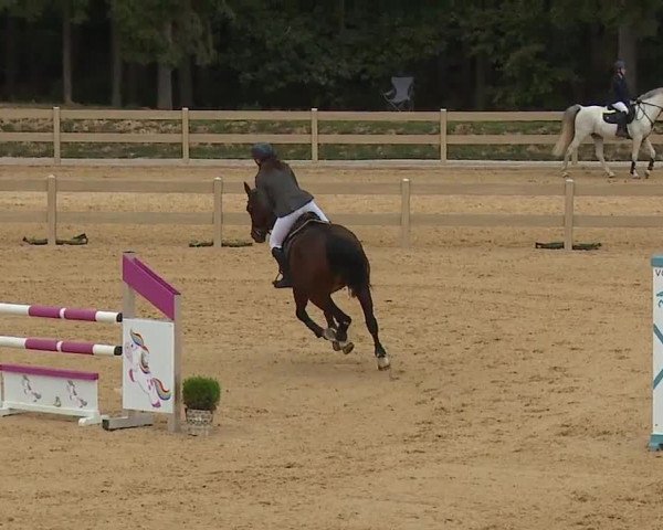 Reitturnier Tiefenhof/Opf. 2023