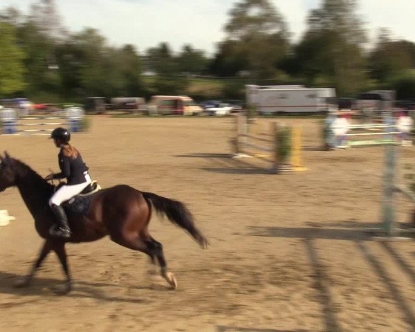 Reitturnier Heiligenwald 2023