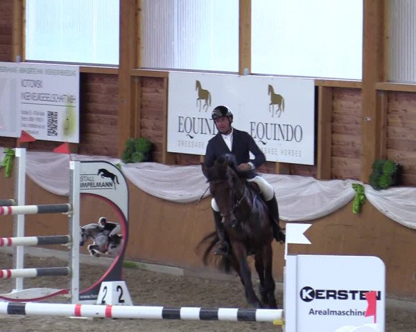 Reitturnier Xanten - Reitanlage Miss 2023