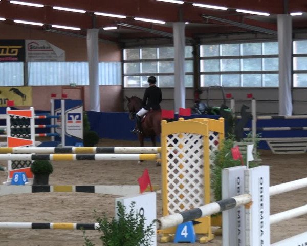 Reitturnier Isterberg 2023