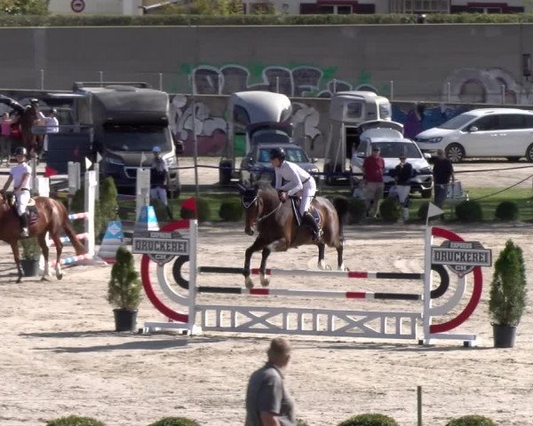 Reitturnier Basel 2023