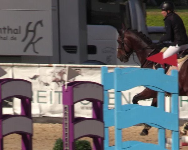 Reitturnier Ranshofen - Braunau am Inn 2023