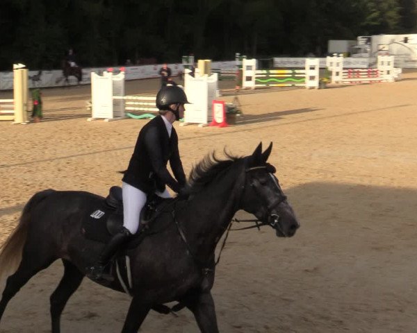 Reitturnier Ranshofen - Braunau am Inn 2023