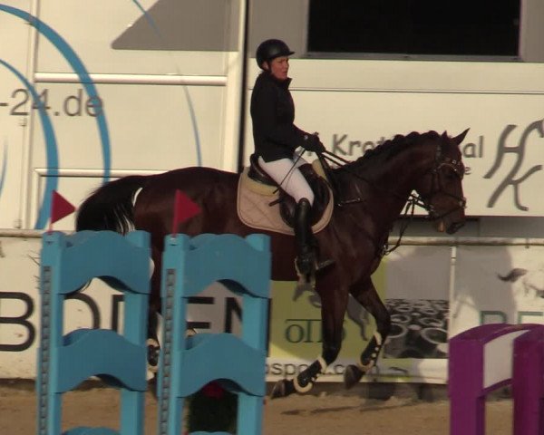 Reitturnier Ranshofen - Braunau am Inn 2023