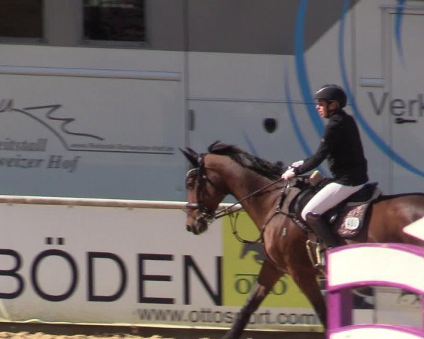 Reitturnier Ranshofen - Braunau am Inn 2023