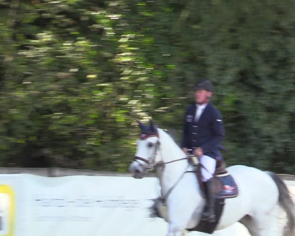 Reitturnier Ranshofen - Braunau am Inn 2023