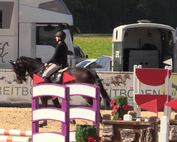 Reitturnier Ranshofen - Braunau am Inn 2023