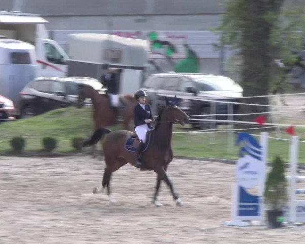 Reitturnier Basel 2023