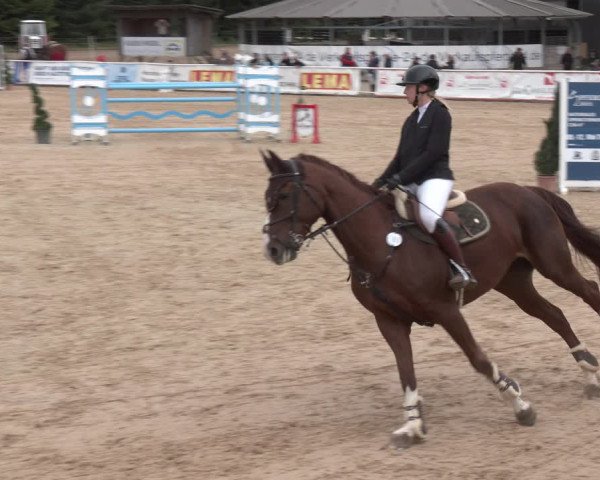 Reitturnier Ranshofen - Braunau am Inn 2023