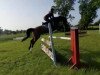 jumper Gina 1865 (Oldenburg show jumper, 2016, from Stakkato)