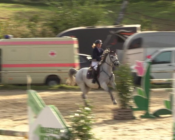 Reitturnier Heiligenwald 2023
