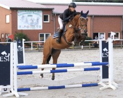 jumper Carcassonne HB (Hanoverian, 2019)