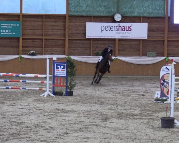 Reitturnier Xanten - Reitanlage Miss 2023